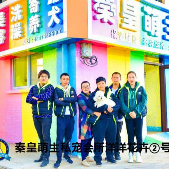 秦皇萌主宠物:秦皇岛市海港区建设大街附近