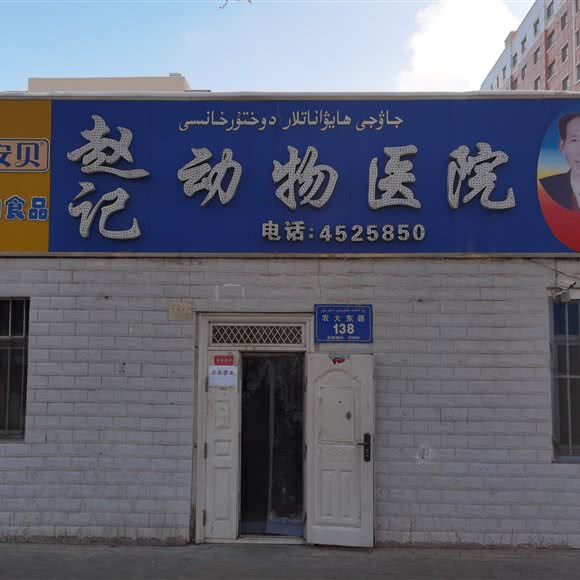 赵记贝丁动物医院:乌鲁木齐市沙依巴克区新疆农业大学附近