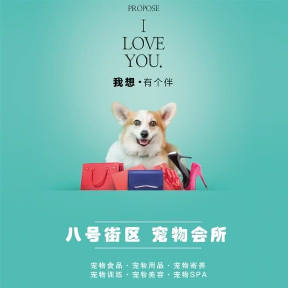 8号街区宠物会所(经开万达店):乌鲁木齐市沙依巴克区万达广场附近