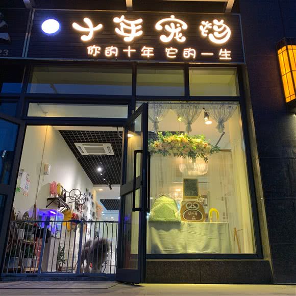 十年宠物:乌鲁木齐市沙依巴克区万达广场附近
