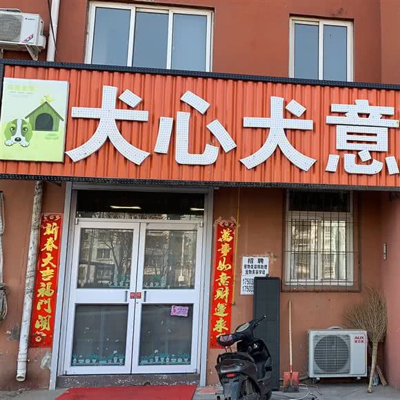 犬心犬意:秦皇岛市海港区东环路附近