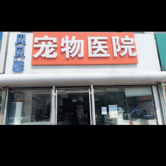 贝贝馨宠物医院(东环路店):秦皇岛市海港区东环路附近