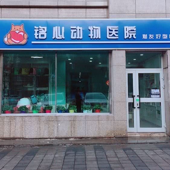 铭心动物医院:乌鲁木齐市新市区喀什西路附近