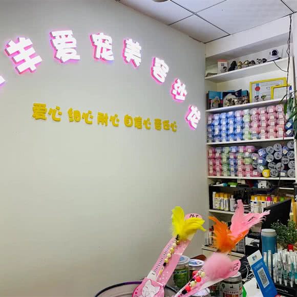 羊羊爱宠(建设大街店):秦皇岛市海港区秦皇东大街附近