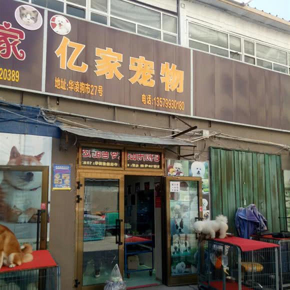 亿家宠物:乌鲁木齐市水磨沟区华凌干果市场附近
