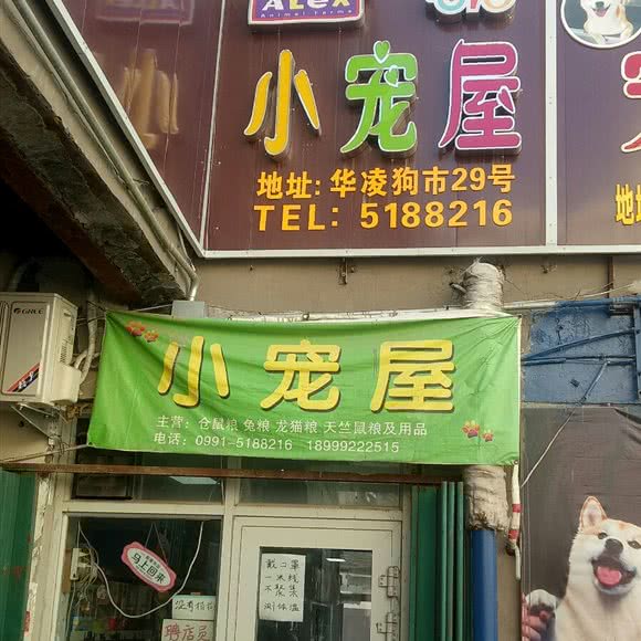 小宠屋:乌鲁木齐市水磨沟区华凌干果市场附近