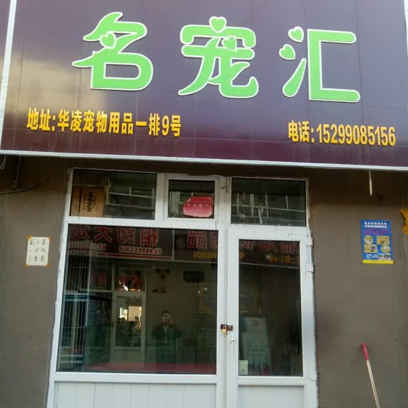 名宠汇:乌鲁木齐市水磨沟区华凌干果市场附近