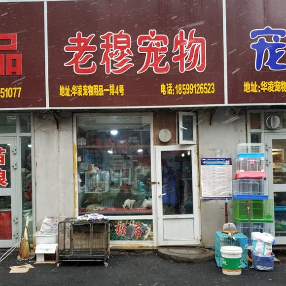 老穆宠物:乌鲁木齐市水磨沟区华凌干果市场附近
