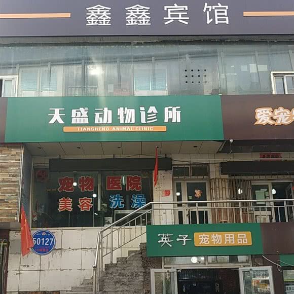天盛宠物医院:乌鲁木齐市水磨沟区华凌干果市场附近