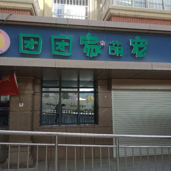 团团家萌宠:乌鲁木齐市水磨沟区温泉路附近