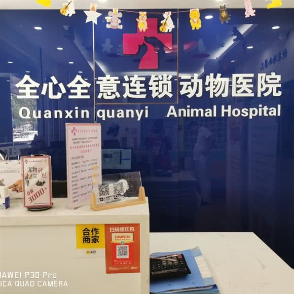 全心全意·安康动物医院:秦皇岛市海港区先锋路附近