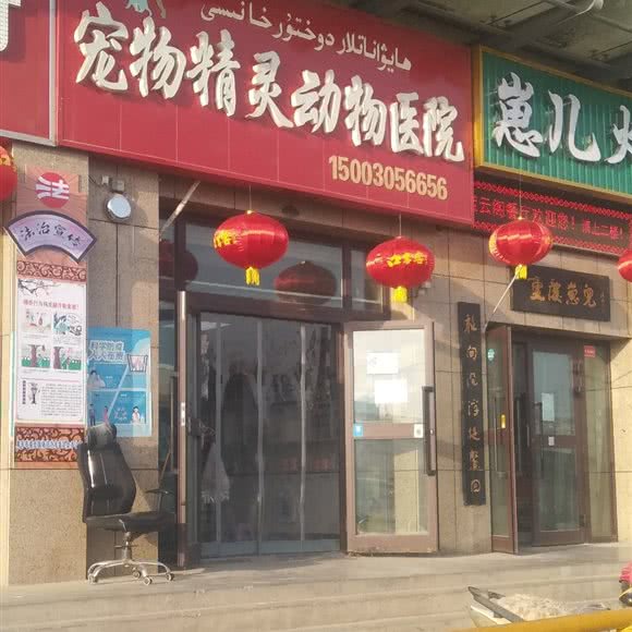 库车宠物精灵动物医院:阿克苏地区库车市库车市附近