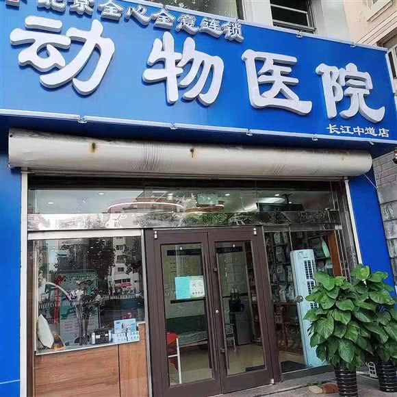 全心全意动物医院(长江中道店):秦皇岛市开发区长江中道附近