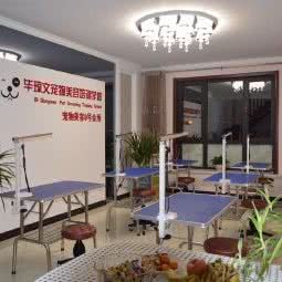 毕琼文高端宠物美容9号会所:秦皇岛市开发区秦皇西大街附近