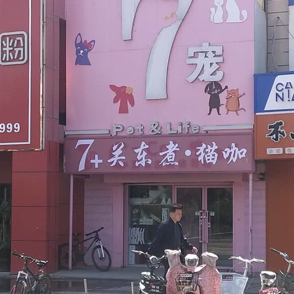 7+关东煮·猫咖:石河子市石河子市其它城区附近