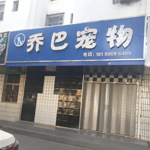 乔巴宠物:石河子市石河子市其它城区附近