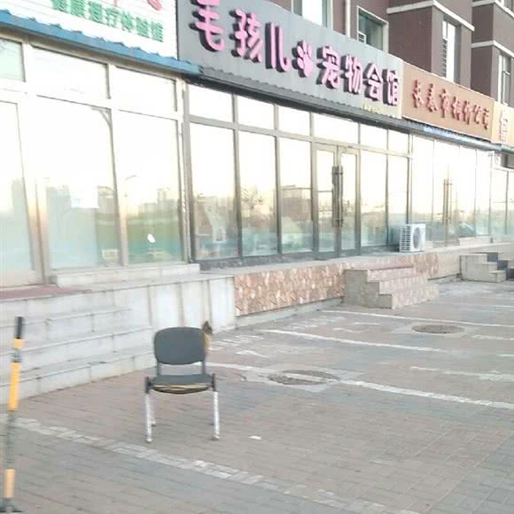毛孩儿宠物会馆:长春市汽车开发区东风大街/汽车开发区附近