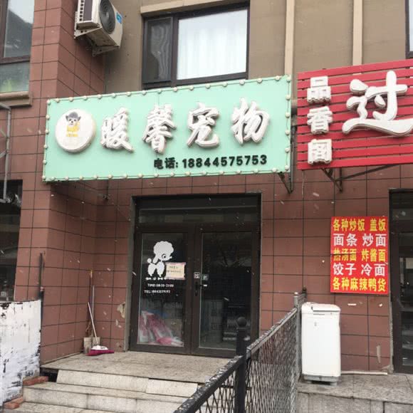 暖馨宠物:长春市汽车开发区东风大街/汽车开发区附近