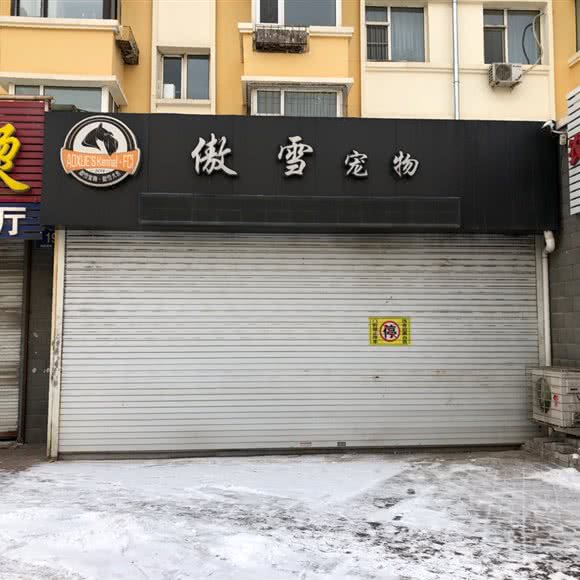 傲雪宠物:长春市汽车开发区东风大街/汽车开发区附近