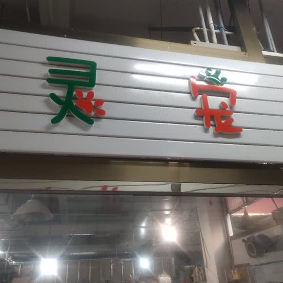 灵宠:秦皇岛市海港区海阳路附近