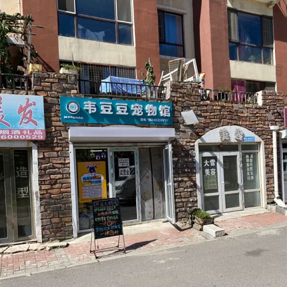 韦豆豆宠物馆:长春市汽车开发区东风大街/汽车开发区附近