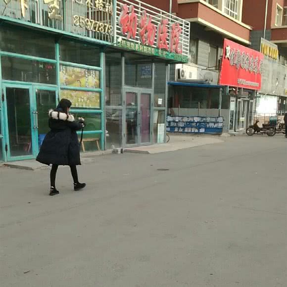 动物医院:长春市汽车开发区东风大街/汽车开发区附近