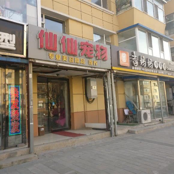 仙仙宠物:长春市汽车开发区飞跃广场附近