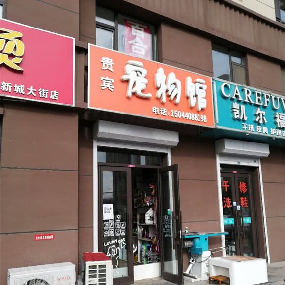贵宾宠物馆:长春市净月开发区净月开发区/净月潭附近