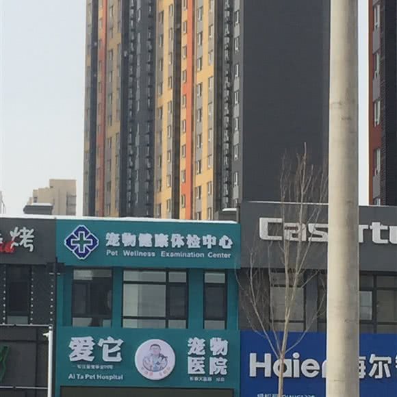 宠物健康体检中心:长春市净月开发区净月开发区/净月潭附近