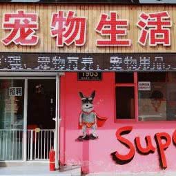 Super宠物生活馆:长春市净月开发区净月大学城附近