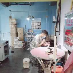 宠小格宠物生活馆:长春市净月开发区净月大学城附近