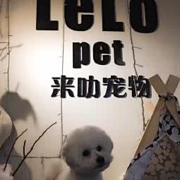 来叻宠物(贵都店):苏州市工业园区苏州中心商场附近