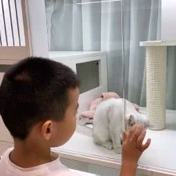 旮旯宠物生活馆:苏州市工业园区博览中心附近