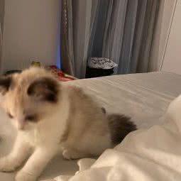 hompet宠物生活馆(方洲公园:苏州市工业园区永旺梦乐城附近