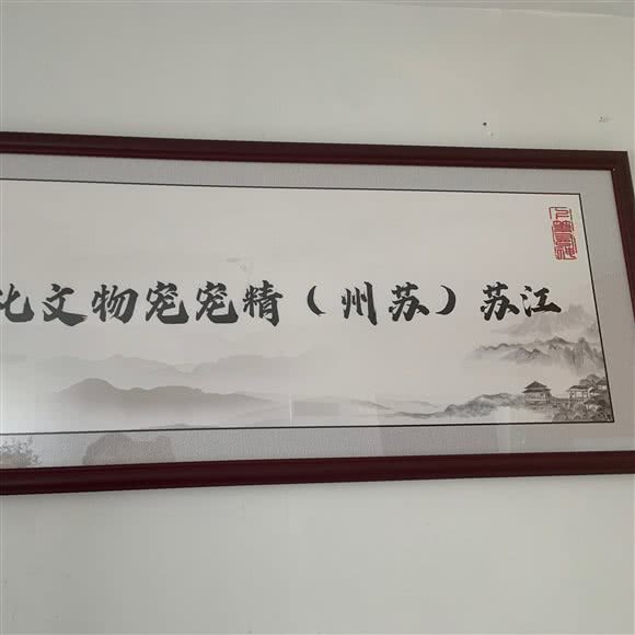 美林格犬舍:苏州市工业园区娄葑镇附近