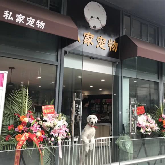 私家宠物:苏州市工业园区斜塘老街附近