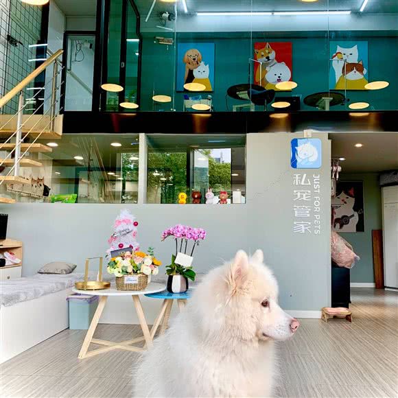 私宠管家(斜塘老街店):苏州市工业园区斜塘老街附近