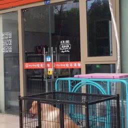 哈奇宠物店:苏州市工业园区青剑湖跨塘附近
