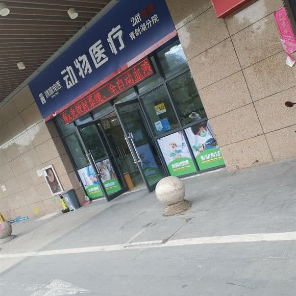 动物医疗:苏州市工业园区青剑湖跨塘附近
