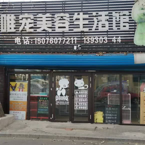 唯宠美容生活馆:秦皇岛市海港区文化路附近