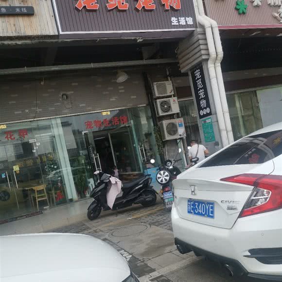 宠觅宠物:苏州市甪直甪直风景区附近