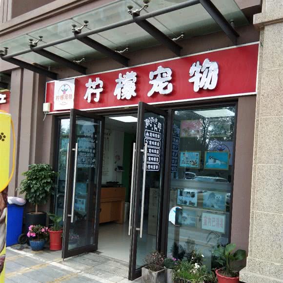 柠檬宠物:苏州市甪直甪直风景区附近