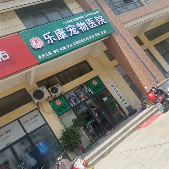 乐康宠物医院:苏州市甪直甪直风景区附近