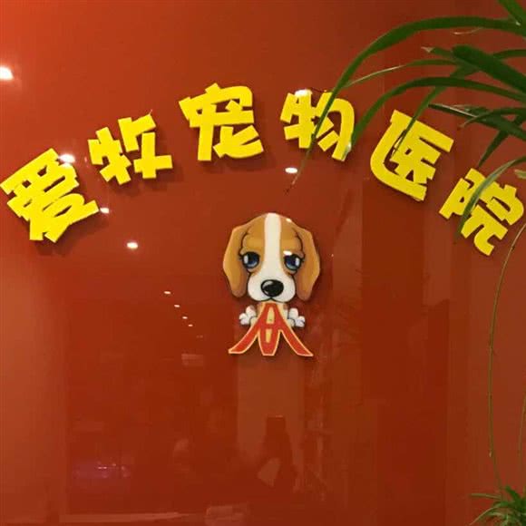爱牧宠物医院:苏州市甪直甪直风景区附近
