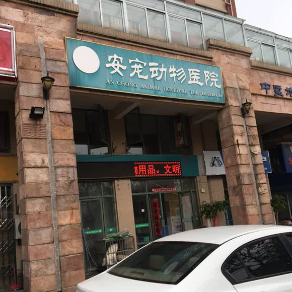 安宠动物医院(白鹭湖公馆店):合肥市高新区大铺头附近