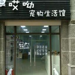 哎呦宠物生活馆:合肥市高新区新华学院附近