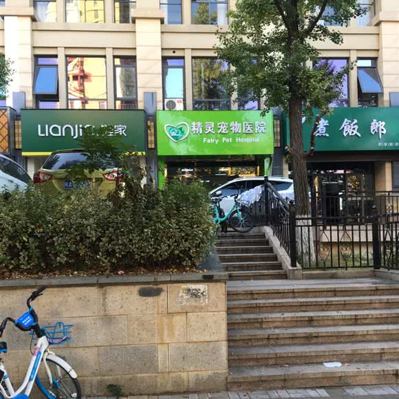 精灵宠物医院:合肥市高新区新华学院附近