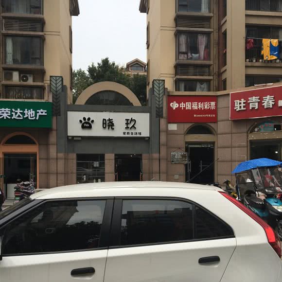 晓玖宠物店:合肥市高新区乐客来附近