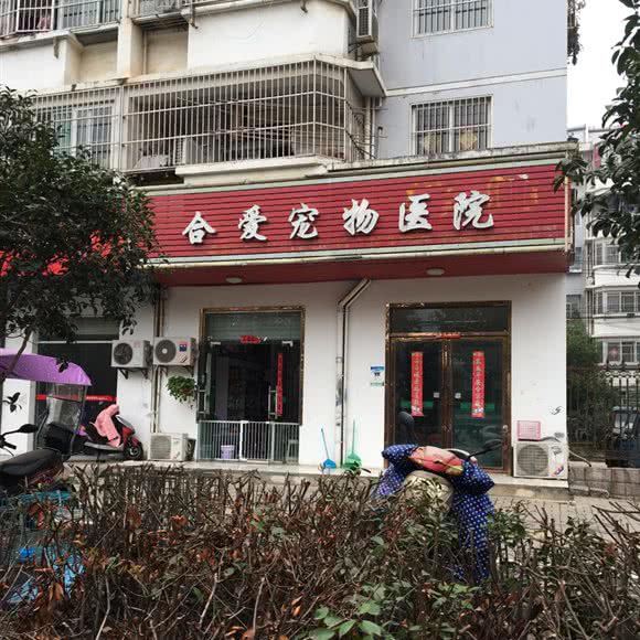 合爱宠物诊所:合肥市高新区乐客来附近