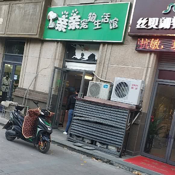 亲亲宠物生活馆:合肥市高新区绿城桂花园附近